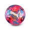 Puma Neymar Jr Grafische Bal Bal