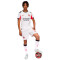 Puma Ac Milan Authentiek 2025-2026 Uit Shirt