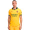 Puma Ac Milan Authentiek 2025-2026 Derde Shirt