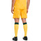 Puma Ac Milan 2025-2026 Derde Kit Shorts