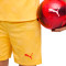 Puma Ac Milan 2025-2026 Derde Kit Shorts