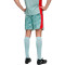 Puma Ac Milan 2025-2026 Doelman Thuis Shorts