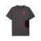 Puma Ac Milan Fanswear 2025-2026 T-Shirt