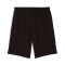Puma Ac Milan Fanswear 2025-2026 Shorts