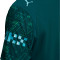 Puma Manchester City 2025-2025 Authentiek Vierde Shirt