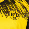 Puma Bvb Borussia 2025-2026 Home Shirt