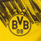 Puma Kinderen BVB Borussia 2025-2026 Thuis Shirt