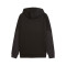 Puma BVB Borussia Fanswear 2025-2026 Sweatshirt
