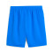 Puma Valencia Cf 2025-2026 Derde Shorts