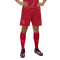 Puma Valencia Cf 2025-2026 Uit Shorts