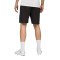 Puma Valencia Cf 2025-2026 Training Shorts
