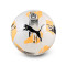 Puma Valencia Cf 2025-2026 Bal