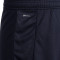 Puma Girona FC 2025-2026 Derde Shorts