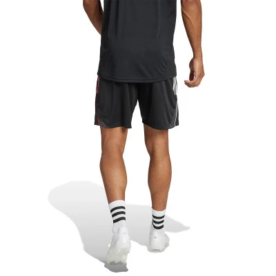 Ajax 2025-2026 Training Shorts