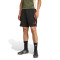 adidas FC Bayern 2025-2026 Training Shorts