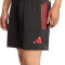 adidas FC Bayern 2025-2026 Training Shorts