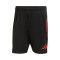 adidas FC Bayern 2025-2026 Training Shorts
