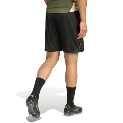 FC Bayern 2025-2026 Training Shorts