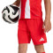 adidas Kinderen FC Bayern 2025-2026 Thuis Tenue 