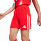 adidas Kinderen FC Bayern 2025-2026 Thuis Shorts