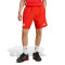 adidas FC Bayern Fanswear 2025-2026 Shorts