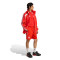 adidas FC Bayern Fanswear 2025-2026 Shorts
