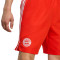 adidas FC Bayern Fanswear 2025-2026 Shorts
