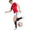 adidas Manchester United 2025-2026 Thuis Shorts
