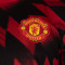 adidas Manchester United 2025-2026 Pre-Match Shirt