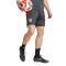 adidas Olympique Lyon 2025-2026 Training Shorts