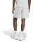 adidas Real Madrid 2025-2026 Fanswear Shorts