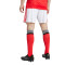 adidas SLB Benfica 2025-2026 Shorts
