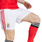 adidas SLB Benfica 2025-2026 Shorts