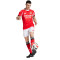adidas SLB Benfica 2025-2026 Shorts