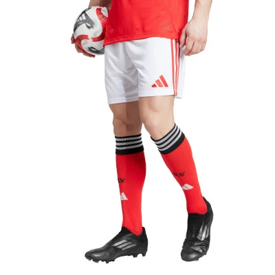 SLB Benfica 2025-2026 Shorts