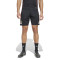 adidas SLB Benfica 2025-2026 Training Shorts