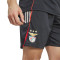 adidas SLB Benfica 2025-2026 Training Shorts