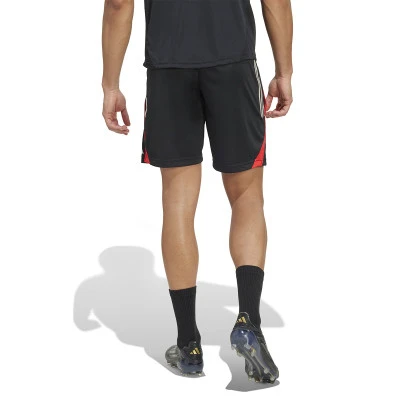 SLB Benfica 2025-2026 Training Shorts