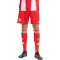 adidas FC Bayern 2025-2026 Thuis Shorts