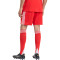 adidas FC Bayern 2025-2026 Thuis Shorts