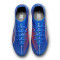 Puma Ultra 6 Ultimate AG voor dames Voetbalschoenen