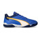 Puma IV Gras indrukken Voetbalschoen