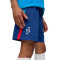 Puma Neymar Jr Playmaker Training Short Jr Shorts