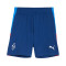 Puma Neymar Jr Playmaker Training Short Jr Shorts