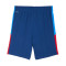 Puma Neymar Jr Playmaker Training Short Jr Shorts
