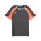 Puma Individualliga Jersey T-Shirt
