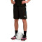 Puma Individualliga Training Shorts 2 (Open Pockets) Shorts