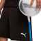 Puma Individualliga Training Shorts 2 (Open Pockets) Shorts