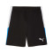 Puma Individualliga Training Shorts 2 (Open Pockets) Shorts