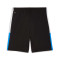 Puma Individualliga Training Shorts 2 (Open Pockets) Shorts